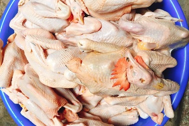 Sự thật gà ri đặc sản mổ sẵn 60 ngàn đồng/con bán la liệt ở Hà Nội