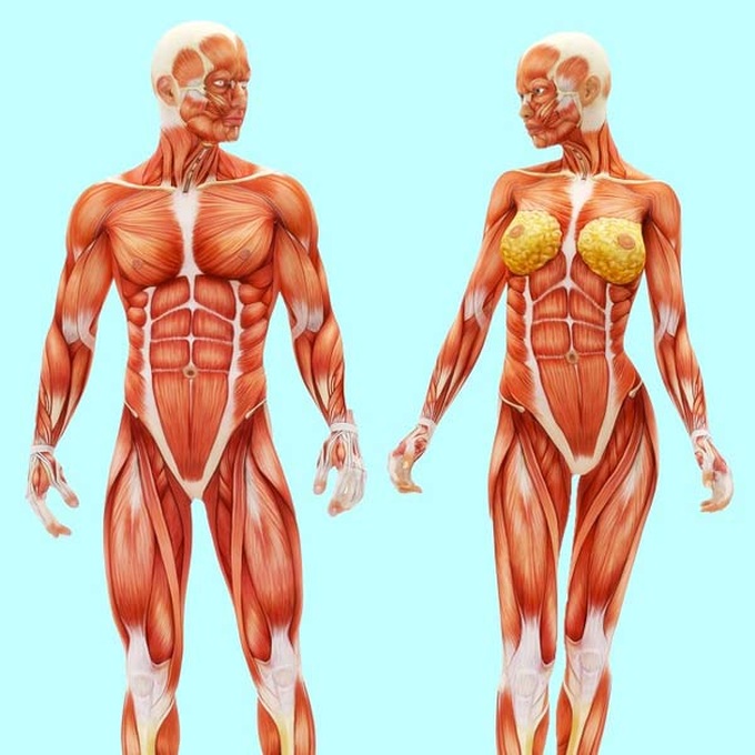 Tăng cường cơ bắp Đi bộ 10.000 bước mỗi ngày có tác động tích cực lên các cơ bắp tương đương với tập luyện cường độ cao trong phòng gym.