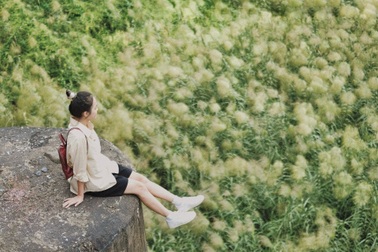 Cầu Long Biên nên thơ khi mùa lau về