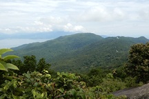 Hai nguyên Chủ tịch Đà Nẵng cùng kiến nghị bảo vệ Sơn Trà