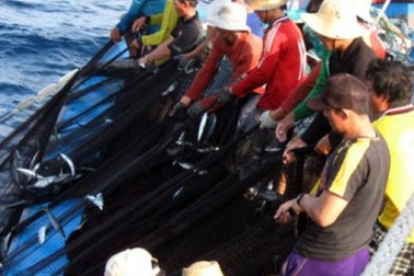 Qua ngày tháng bĩ cực, lão ngư này giờ có 5 tàu to trị giá 60 tỉ đồng