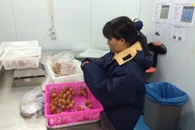 Người Úc hào hứng với trái vải tươi của Việt Nam 