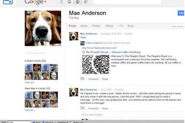 Google+ thu hút 25 triệu người truy cập