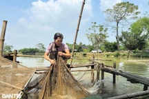 Cuộc sống ở nơi quy hoạch ga Ngọc Hồi - đường sắt cao tốc 350km/h