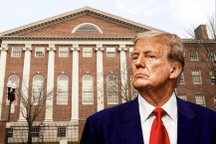 Thế khó của Đại học Harvard khi đối đầu Tổng thống Mỹ Donald Trump