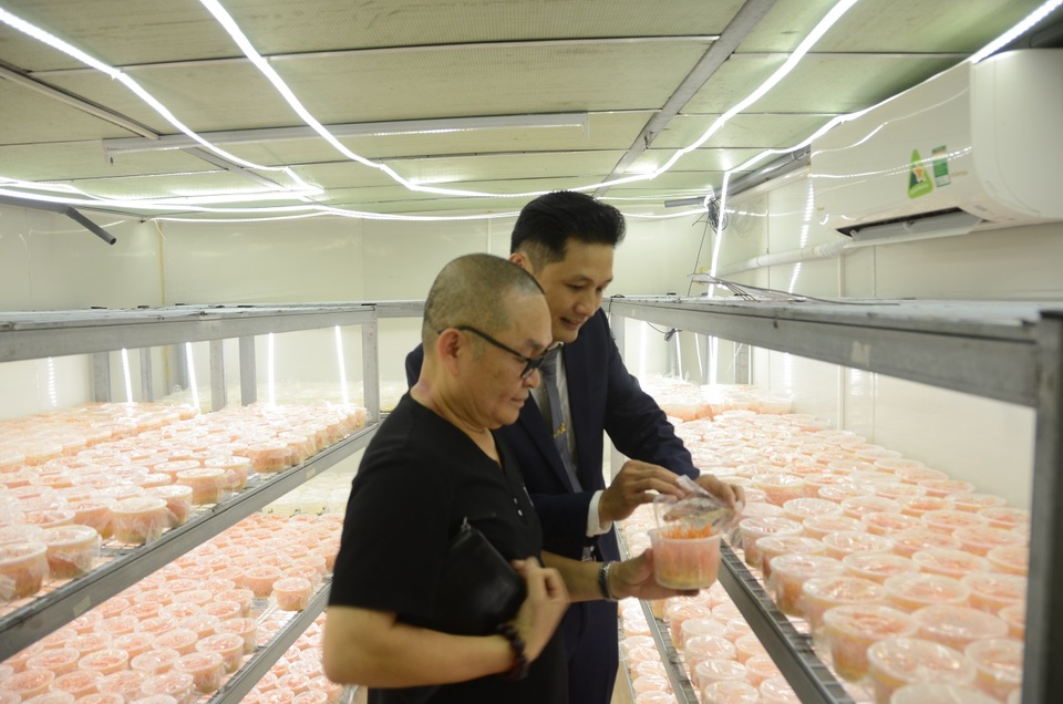 Thương hiệu đông trùng hạ thảo Việt Nam đạt chứng nhận FDA Hoa Kỳ - 4 Thương hiệu đông trùng hạ thảo Việt Nam đạt chứng nhận FDA Hoa Kỳ - 4