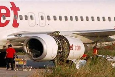 Ấn Độ: Máy bay đâm phải trâu, hành khách hú vía