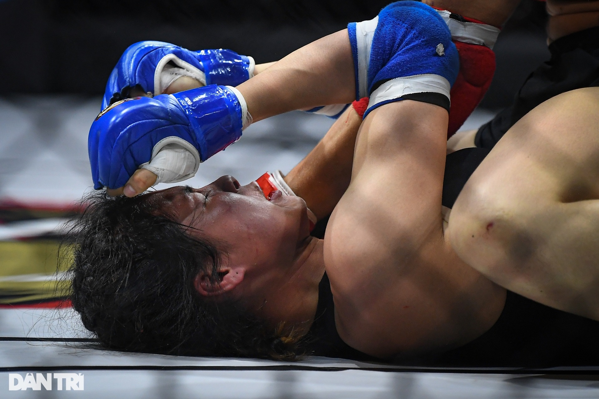 Bóng hồng Hungary hạ knock-out võ sĩ Việt Nam trong ngày khai màn MMA 2023 - 11 Bóng hồng Hungary hạ knock-out võ sĩ Việt Nam trong ngày khai màn MMA 2023 - 11