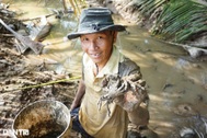 Lão nông miền Tây tiết lộ bí quyết bắt con đặc sản trứ danh