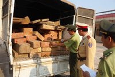 Phát hiện gỗ quý vì xe... nổ lốp