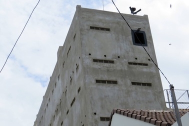 "Cuộc chiến" vì loài chim tiền tỷ: Bên dụ, bên đuổi