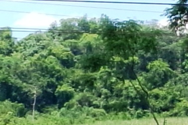 Mới lấy vợ 8 tháng, Phó bí thư đoàn xã bỗng treo cổ tự vẫn