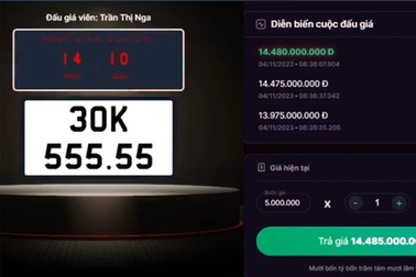 Nghiên cứu chế tài xử phạt người bỏ cọc sau khi trúng đấu giá