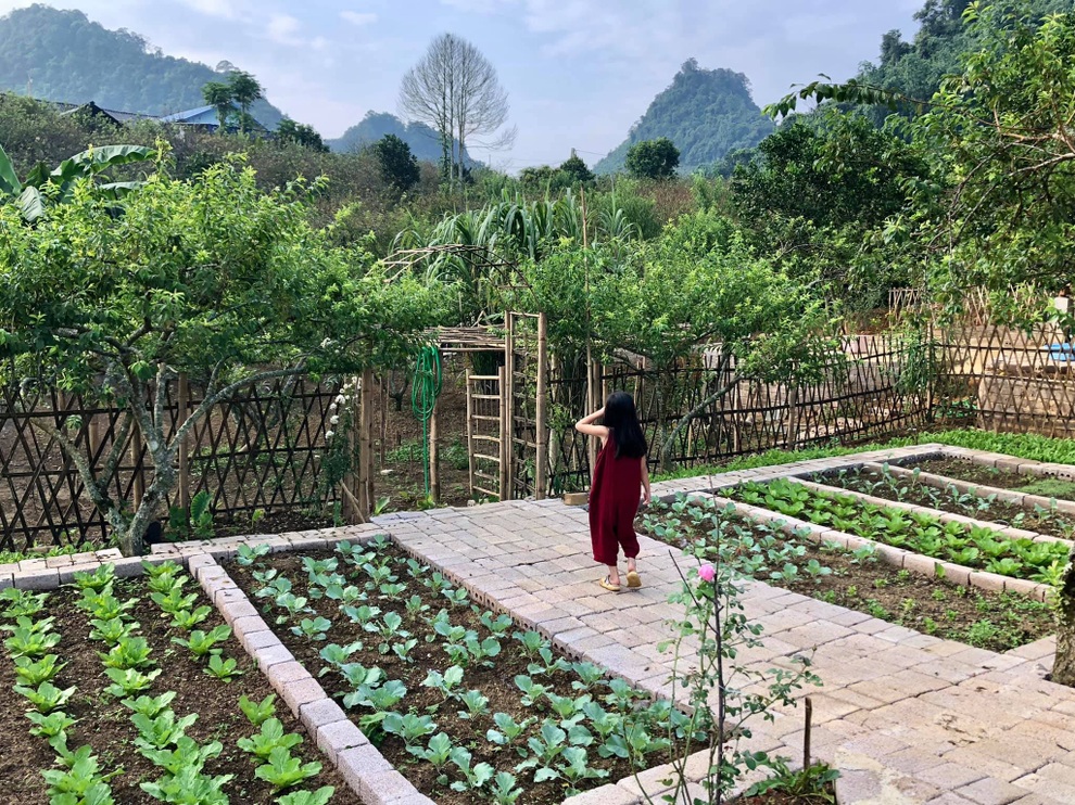 Mắc kẹt ở Mộc Châu do Hà Nội giãn cách, gia đình làm vườn đẹp mê - 1 Mắc kẹt ở Mộc Châu do Hà Nội giãn cách, gia đình làm vườn đẹp mê - 1