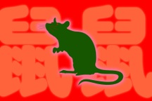 "Người chuột" - lối sống gây sốc của gen Z thất nghiệp ở Trung Quốc