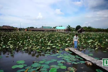 Giới trẻ Sài Gòn đổ xô check in đầm sen đẹp ngỡ ngàng