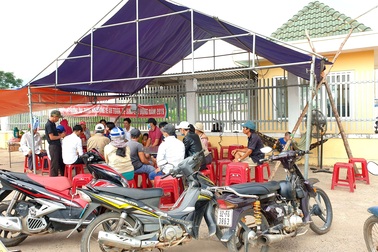 Yêu cầu xử lý sự cố môi trường nhà máy cồn Đại Tân