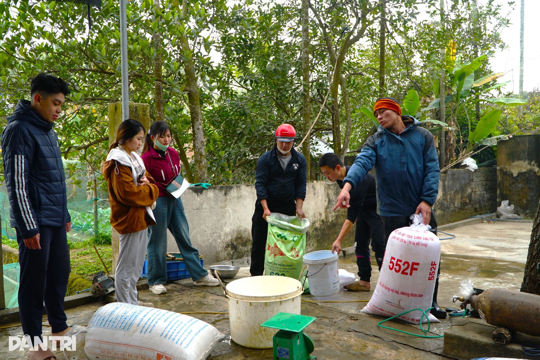 Πιάνοντας το μεγαλύτερο δίχτυ της χρονιάς, κερδίζοντας εκατοντάδες εκατομμύρια ντονγκ με την ευκαιρία του Φεστιβάλ Ong Cong Ong Tao - 8 Cất mẻ lưới lớn nhất năm, kiếm trăm triệu đồng dịp Tết ông Công ông Táo - 8