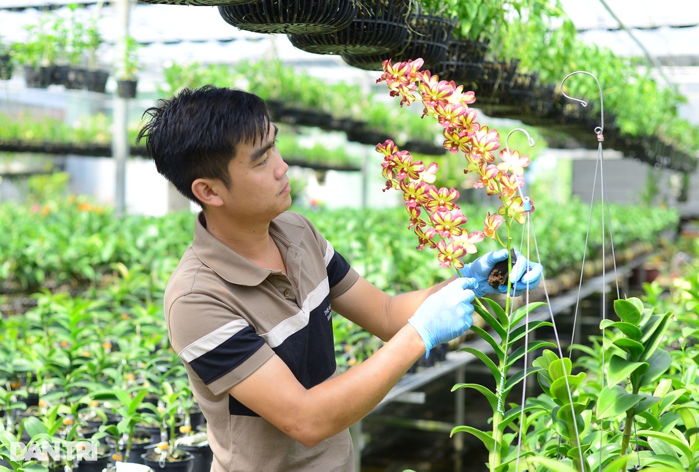 Bán xe vì niềm đam mê: Hành trình từ người bán hàng đến tỷ phú lan