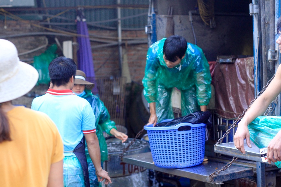 Hà Nội: Nhộn nhịp chợ phương tiện tiễn Táo quân về trời - 10 Hà Nội: Nhộn nhịp chợ phương tiện tiễn Táo quân về trời - 10