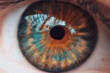 Vì sao con người có màu mắt khác nhau?