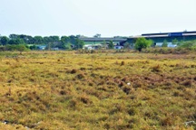 TPHCM xử lý khẩn gần 1.400 trường hợp chuyển đất nông nghiệp sang đất ở