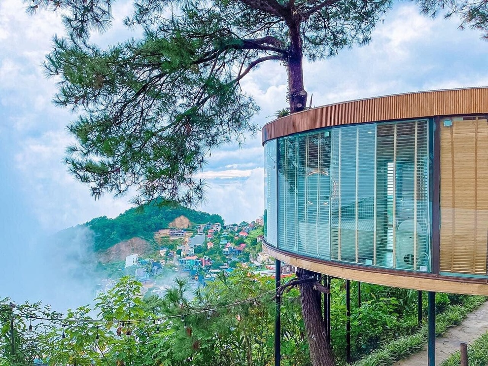 Ngôi nhà Tam Đảo cheo leo trên cây: Sáng ngắm sương, chiều đón hoàng hôn - 3 Ngôi nhà Tam Đảo cheo leo trên cây: Sáng ngắm sương, chiều đón hoàng hôn - 3