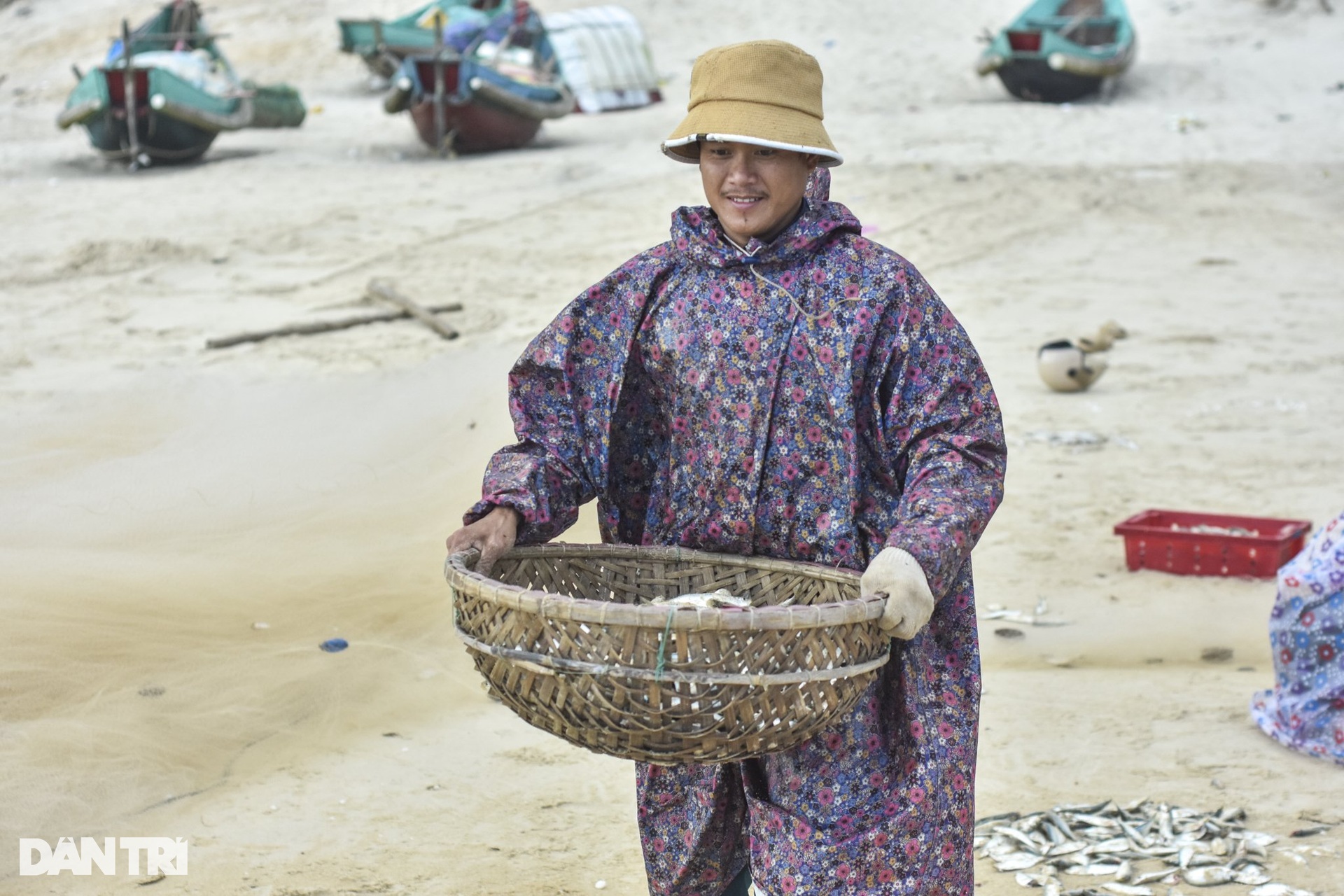 Trúng đậm cá trích, ngư dân bãi ngang thu tiền triệu mỗi ngày - 10