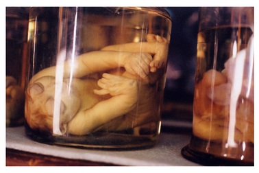 Những điểm đến ghê rợn thử thách lòng can đảm của du khách