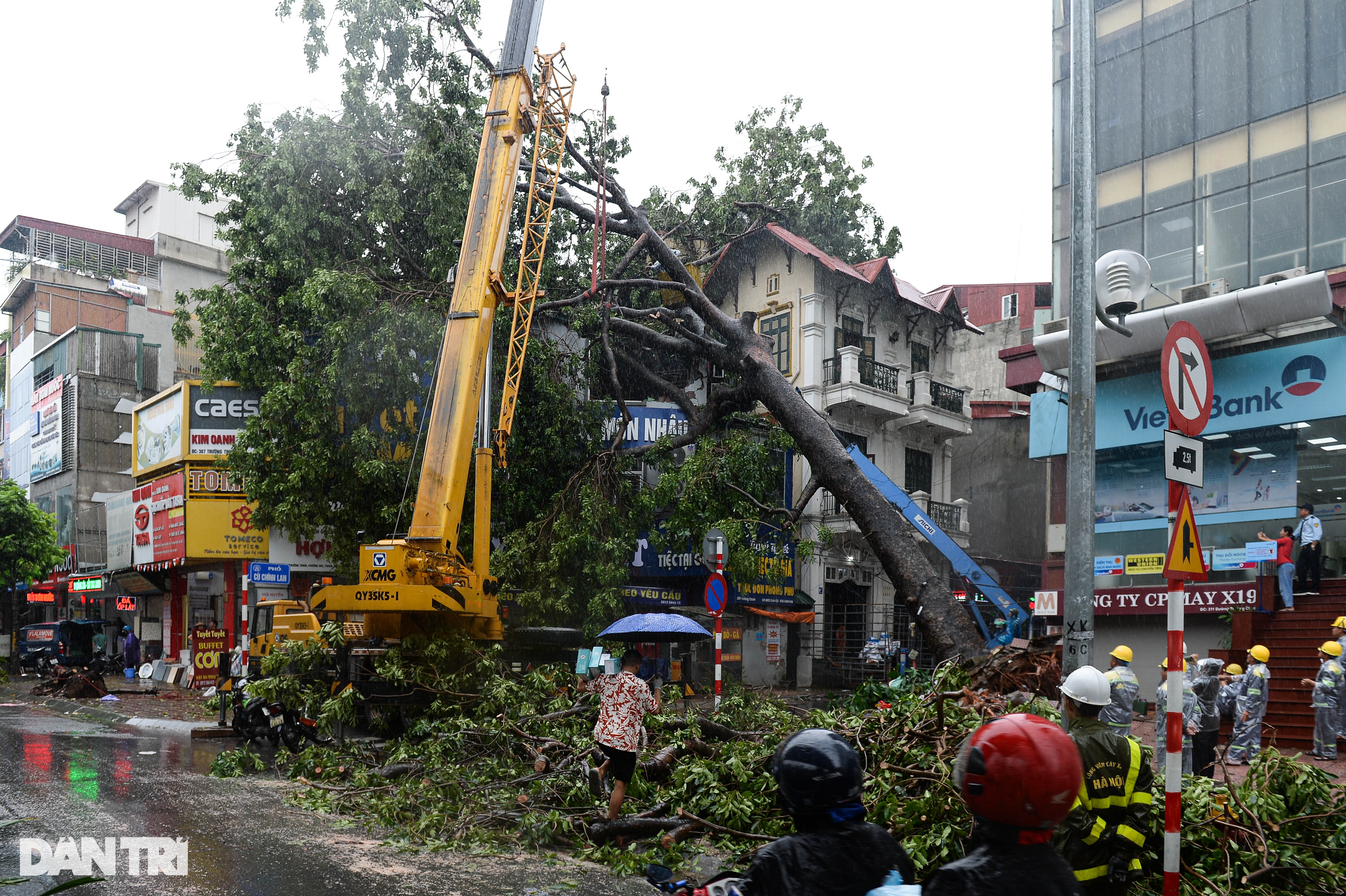 Lực lượng tinh nhuệ TPHCM đội mưa tầm tã dọn dẹp cây xanh tại Hà Nội - 1