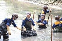 Nhiều doanh nghiệp công ích tại Hà Nội sắp bị xóa sổ