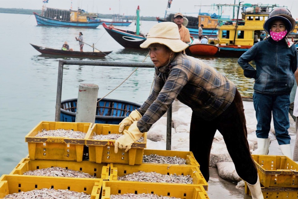 Làng mắm hơn trăm tuổi vẫn sống khỏe - 1 Làng mắm hơn trăm tuổi vẫn sống khỏe - 1
