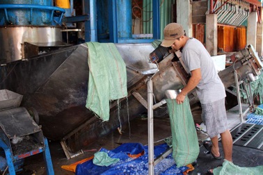 Đầu tư máy làm đá viên cho nhà hàng, quán bar, nên hay không?
