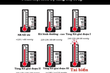 Tại sao Định Áp Vương lại giúp kiểm soát tình trạng tăng huyết áp qua các giai đoạn?