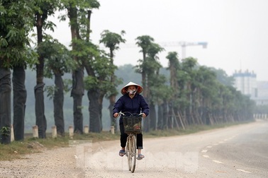 Hàng hoa sữa chuyển từ Hà Nội lên bãi rác Nam Sơn giờ ra sao?