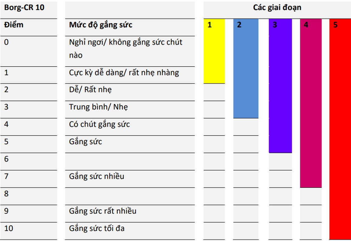 5 giai đoạn tập luyện để hồi phục thể lực hậu Covid-19 - 1 5 giai đoạn tập luyện để hồi phục thể lực hậu Covid-19 - 1