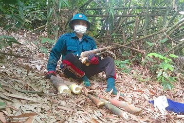 Người dân nghèo biên giới lên rừng hái sản vật ủng hộ khu cách ly