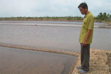 Giá muối tăng, diêm dân “bỗng dưng muốn khóc”