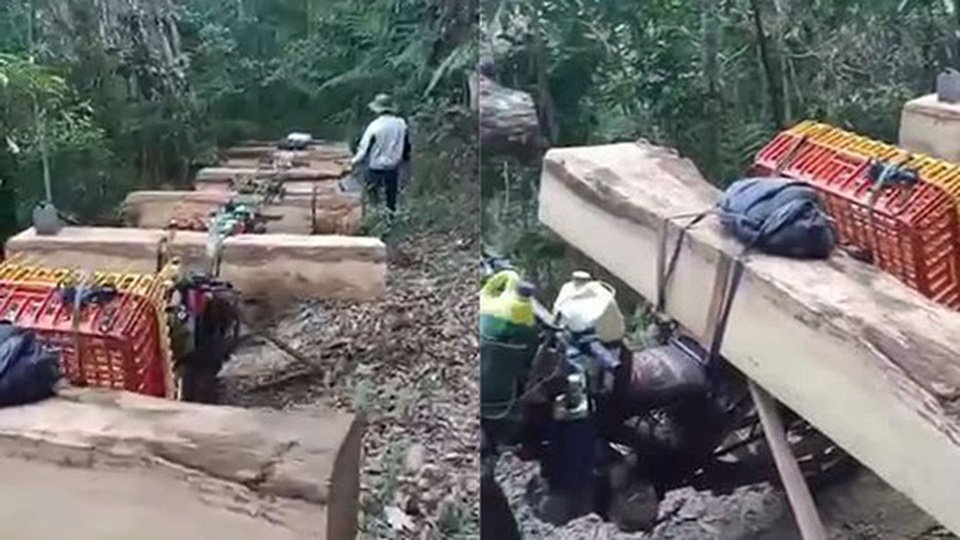 Mở rộng điều tra vụ đoàn “lâm tặc” vận chuyển gỗ lậu trong đêm - 2 Mở rộng điều tra vụ đoàn “lâm tặc” vận chuyển gỗ lậu trong đêm - 2
