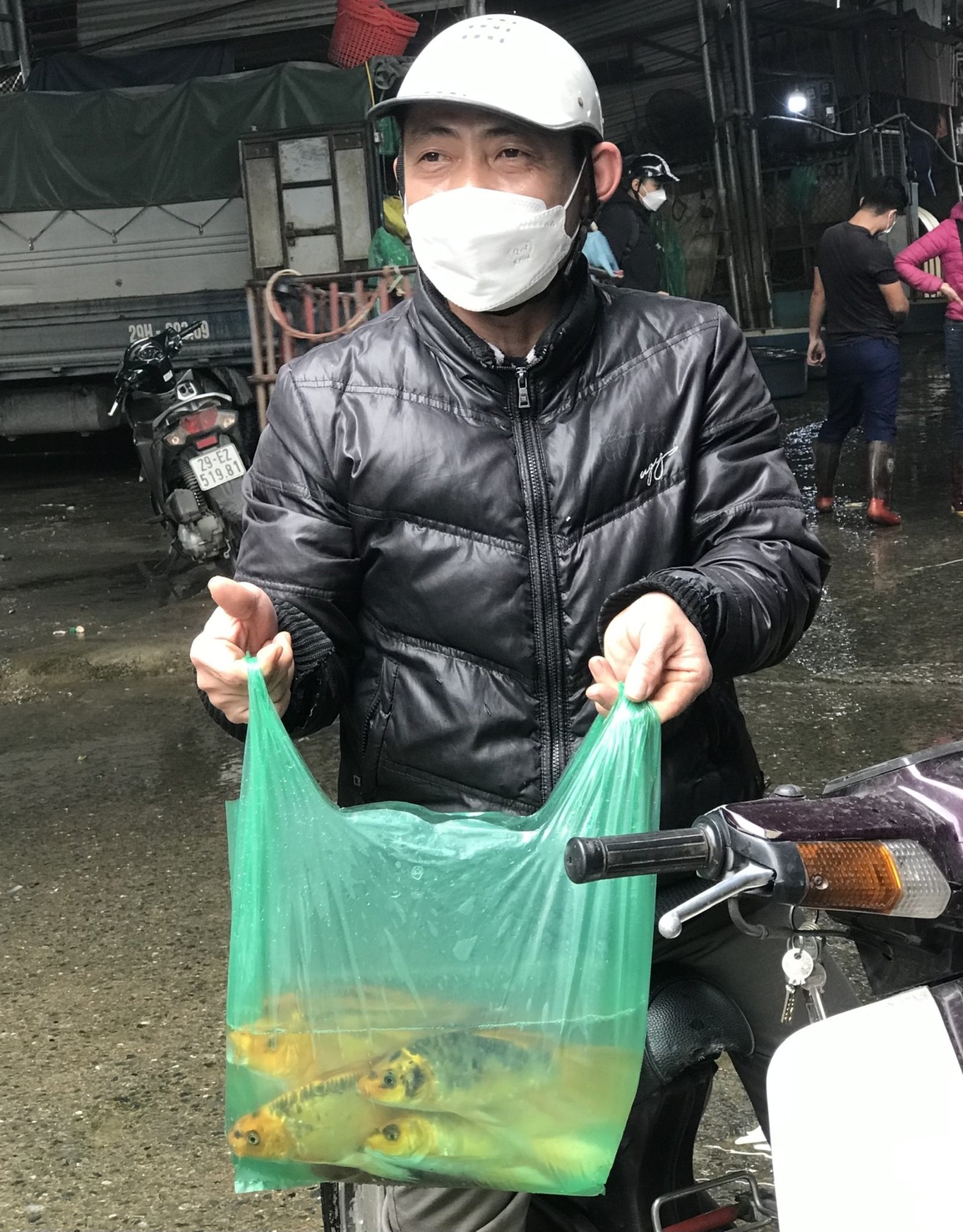 Vì sao giá cá chép cúng ông Táo năm nay rẻ hơn năm ngoái? - 3 Vì sao giá cá chép cúng ông Táo năm nay rẻ hơn năm ngoái? - 3