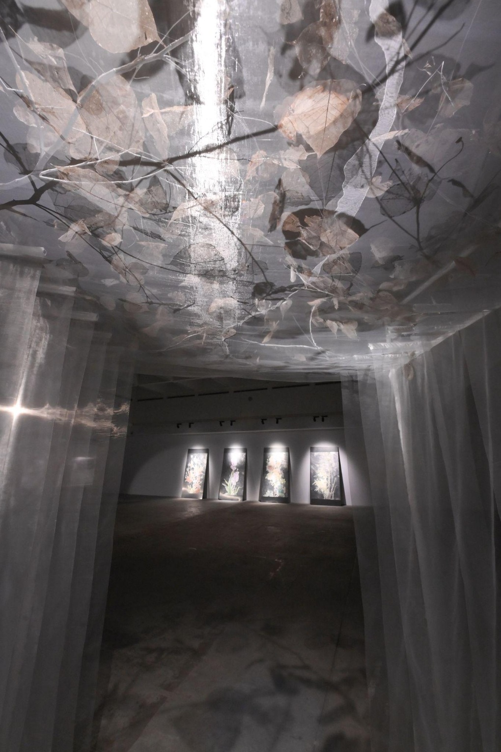 VCCA giới thiệu triển lãm TỎA IV - 8 VCCA giới thiệu triển lãm TỎA IV - 8