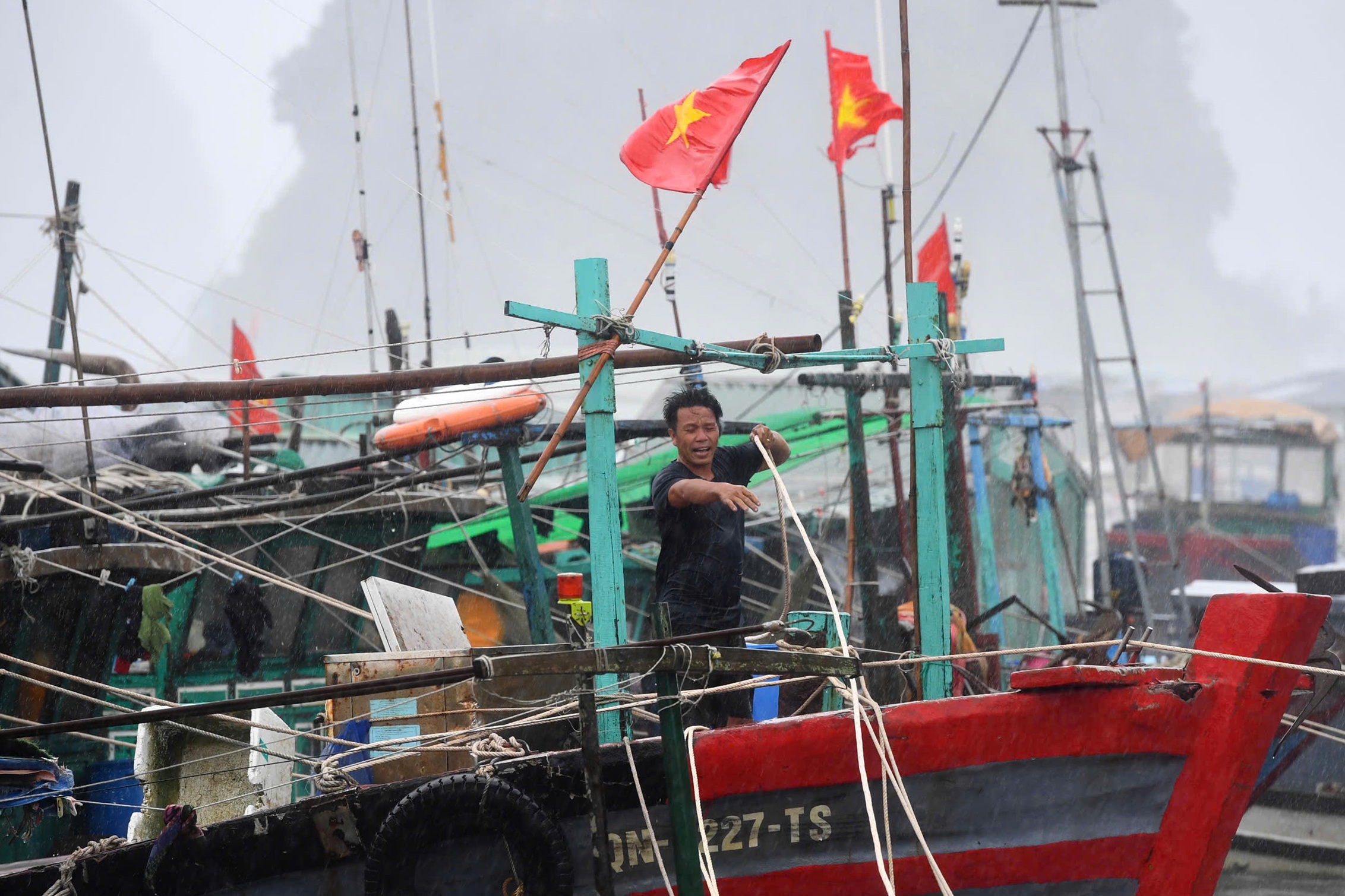 Bão Yagi đổ bộ Quảng Ninh: Đường phố ngổn ngang, hàng loạt cột điện gẫy đổ - 1