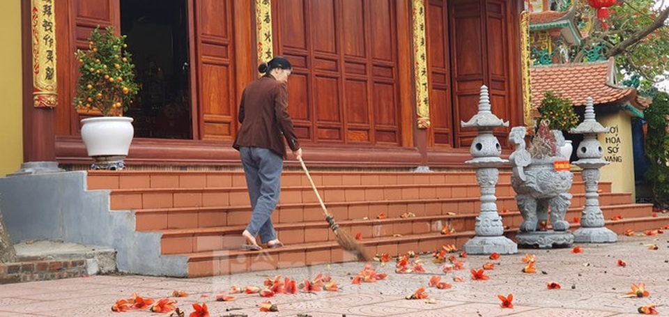 Trầm trồ vẻ đẹp 5 gốc gạo cổ thụ độc đáo ở Đồ Sơn - 9 Trầm trồ vẻ đẹp 5 gốc gạo cổ thụ độc đáo ở Đồ Sơn - 9