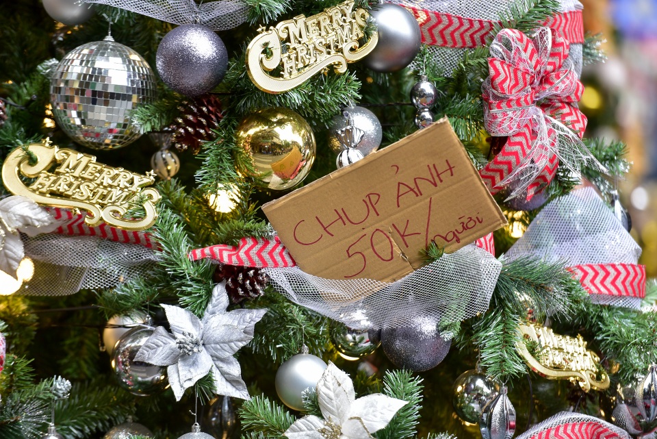 Cây thông Noel giá chục triệu đắt hàng trước lễ Giáng sinh - 11 Cây thông Noel giá chục triệu đắt hàng trước lễ Giáng sinh - 11