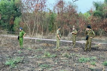 Người đàn ông mượn xe "đi đây tí" rồi tử vong trong rừng ở Bình Dương