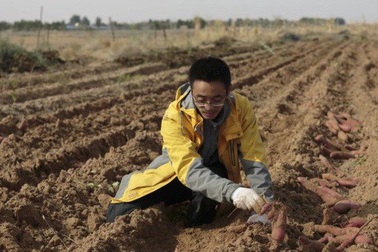 Trung Quốc: Tiến sĩ, thạc sĩ đua nhau về quê làm nông nghiệp sạch