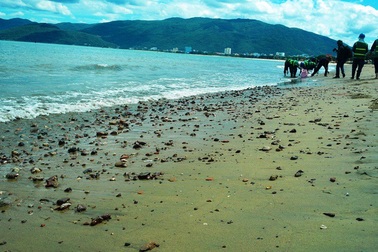 Nhận chìm bùn cát xuống biển Quy Nhơn: Lo ngại ảnh hưởng môi trường du lịch