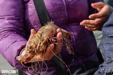 Xuất khẩu tôm tăng tốc, hé lộ thị trường lớn nhất