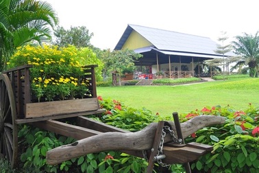 Gợi ý 9 điểm du lịch sinh thái gần Sài Gòn trong Tết Dương lịch