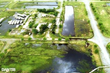 Diễn biến mới vụ nợ 1.000 sổ đỏ: Chủ đầu tư và nhà phân phối đã đàm phán